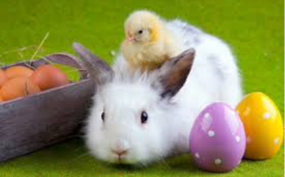 Image Frohe Ostern
